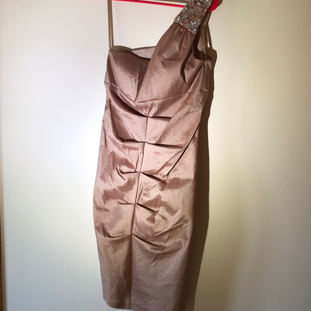 Cache One Should Blush Cocktail Prom Dress size 10